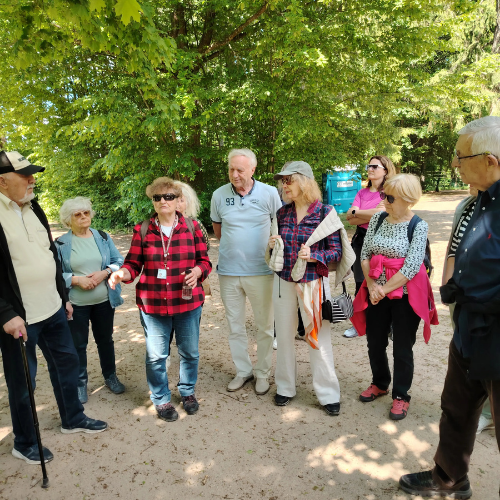 Żubry – Białowieża