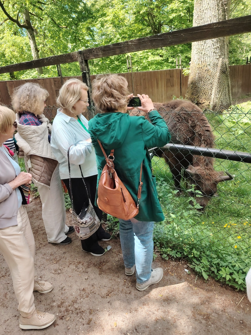 Białowieża – zdjęcie 4