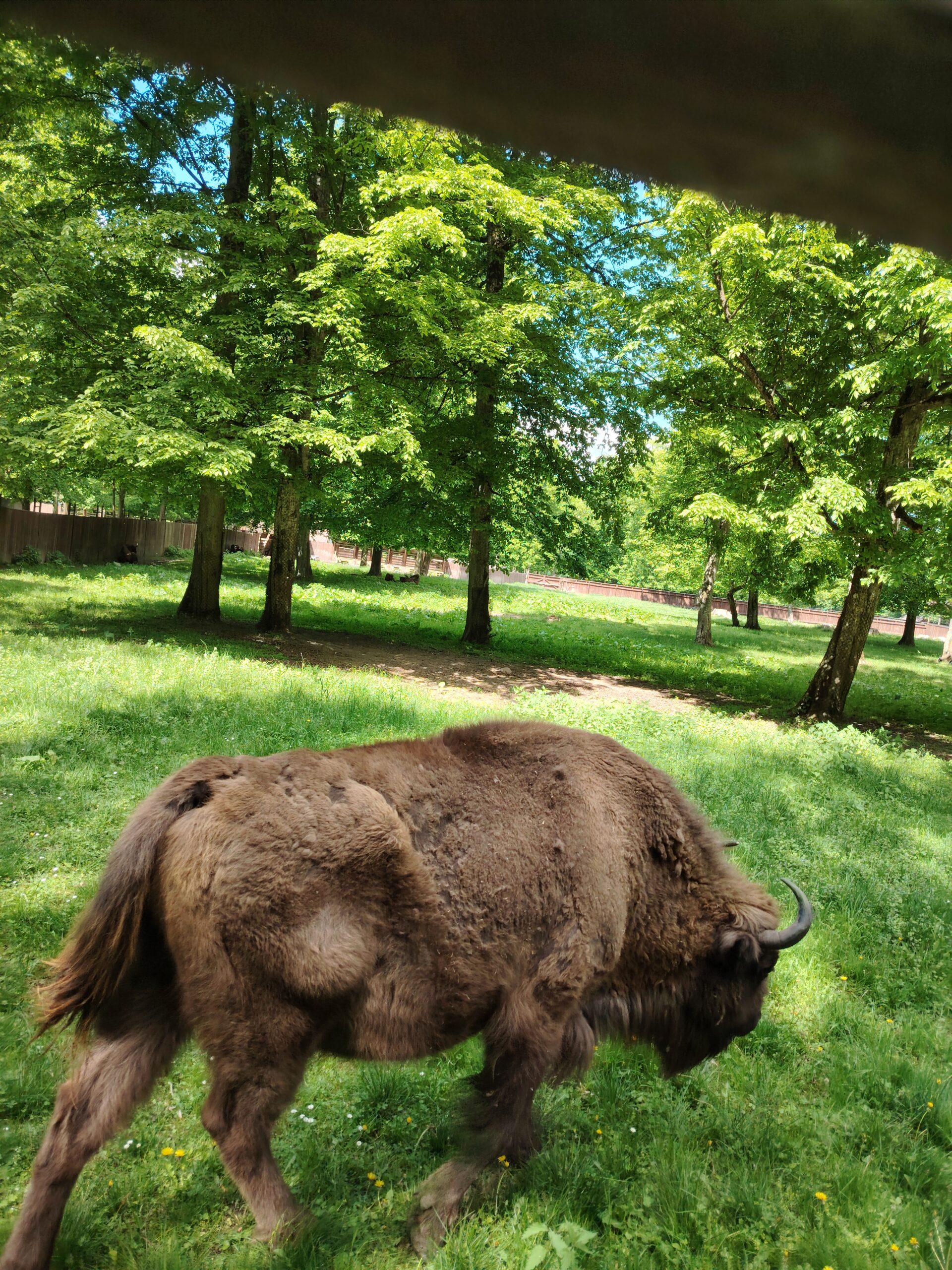 Białystok i Puszcza Białowieska – zdjęcie 7